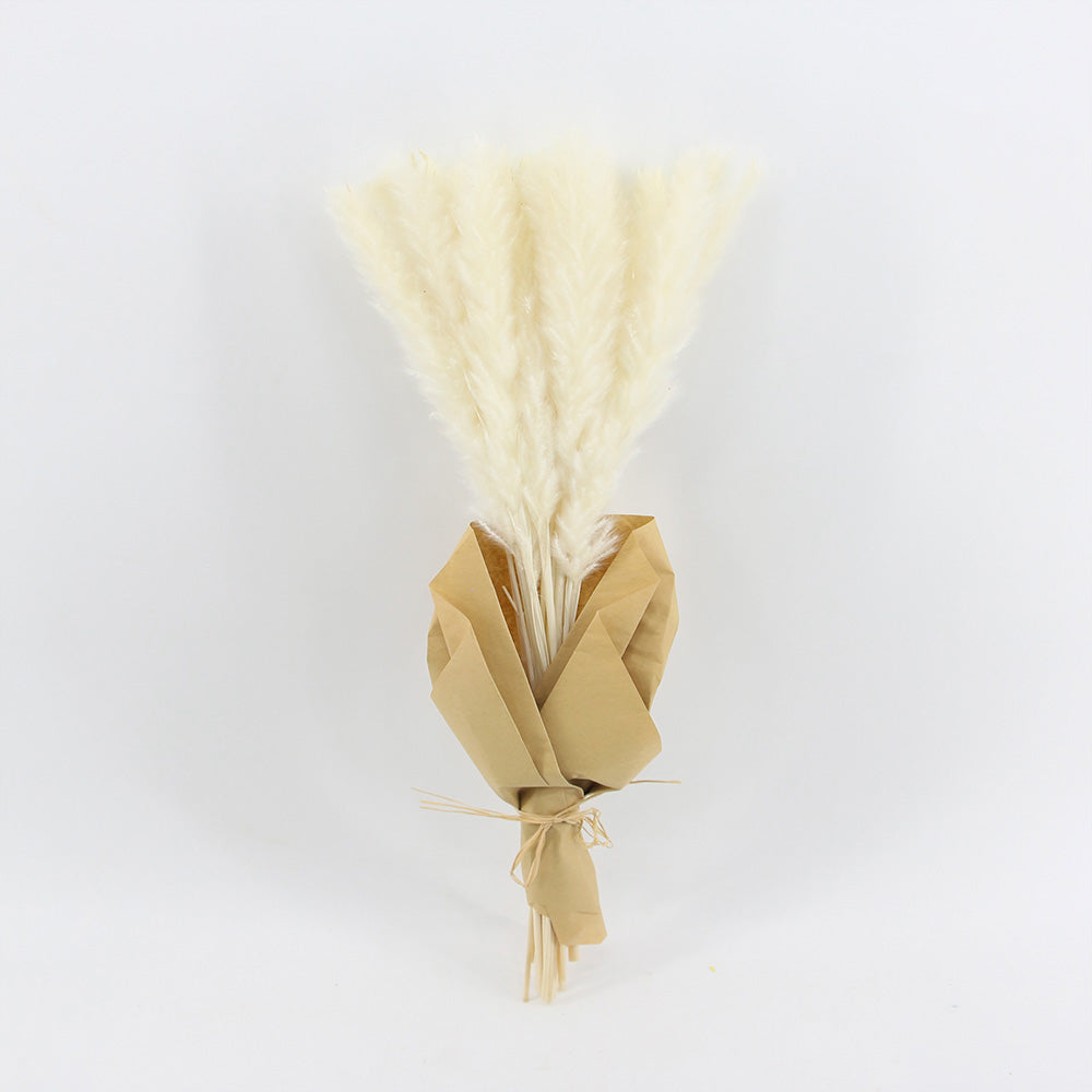 Pampas Naturales