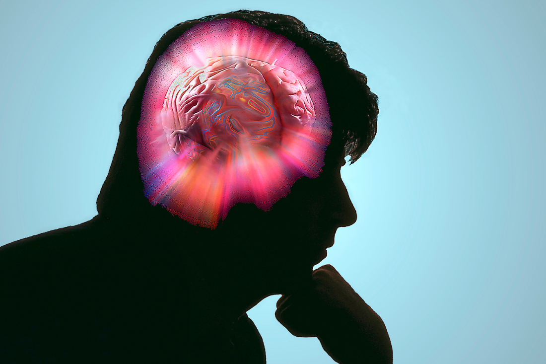 Diseña con ciencia: tu entorno puede reprogramar tu mente